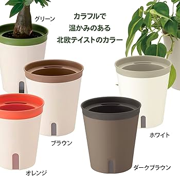 Amazon | リッチェル 底面給水鉢 ミエルノPlus ポット 15型N ホワイト Amazon | リッチェル 底面給水鉢 ミエルノPlus ポット 15型N ホワイト